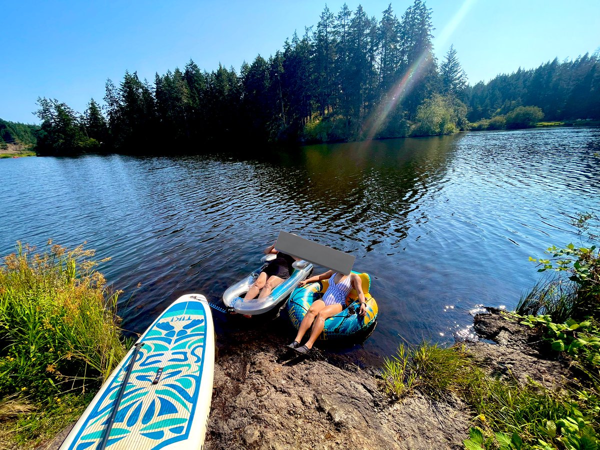 ⭐️💫✨✨💫⭐️ tweet media