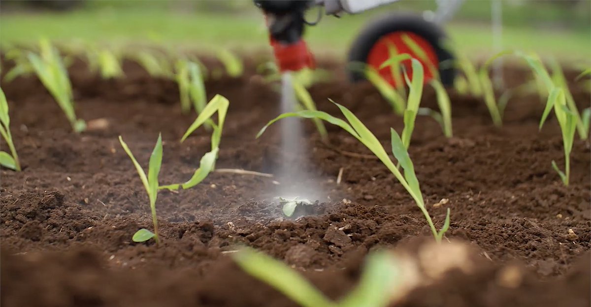 Ravensthorpe Agricultural Initiative Network (@rain_ag_network) on Twitter photo Could AI-based weed spraying be the future for WA's broadacre style farmers? 🌱
Read this <a href="/AgriFuturesAU/">AgriFutures Australia</a> article about this practice taking hold in Far North Queensland.
agrifutures.com.au/news/ai-based-… Could AI-based weed spraying be the future for WA's broadacre style farmers? 🌱
Read this <a href="/AgriFuturesAU/">AgriFutures Australia</a> article about this practice taking hold in Far North Queensland.
agrifutures.com.au/news/ai-based-…