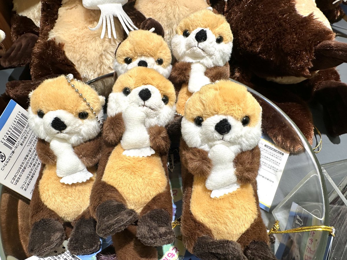 横浜ロフト on X