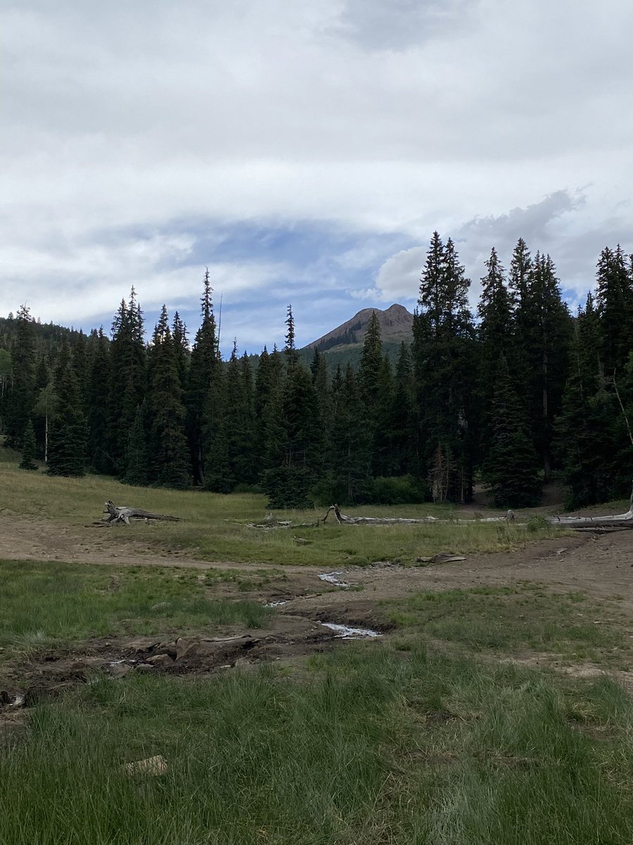 ClintRising's tweet photo. Wrapping up the summer before everyone back to school. Spent some time in the high country. Camping, fishing, and enjoying being with my sons at 10,000 ft. https://t.co/YnplDF0BPe