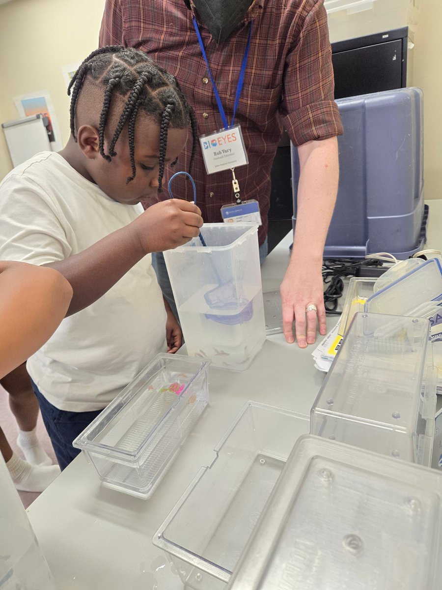 BUGSSlab's tweet photo. #genetics #summer #kids #summer #zebrafish #fish #science #STEM #STEAM #biology #chemistry #ScienceCommunication #STEMeducation #knowledge #learning #education #BUGSS #BUGSSlab #Maryland #BaltimoreCity #local #Baltimore https://t.co/eI8gLhUNv1