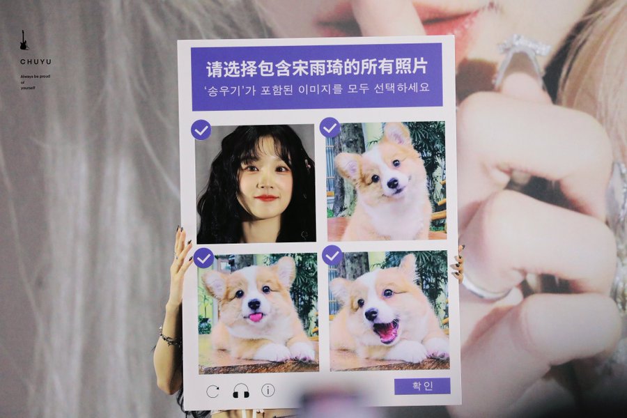 송우기가 포함된 이미지를 모두 고르시오.jpg | 인스티즈