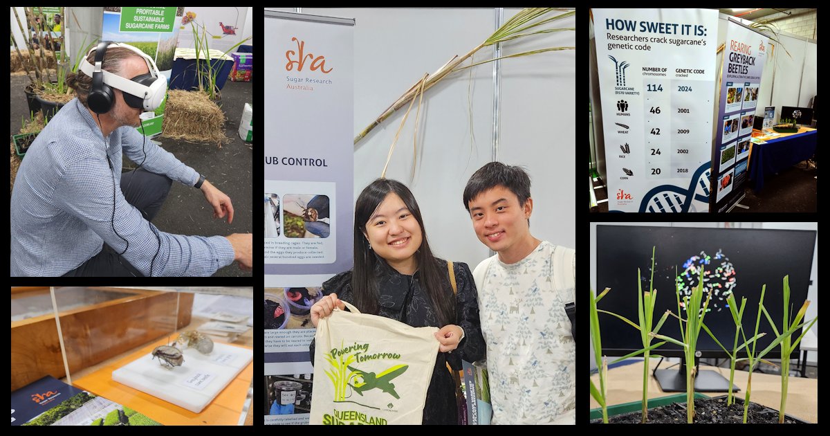 sugarresearch (@sugarresearch) on Twitter photo SRA is at <a href="/TheEkka/">Ekka</a> this week with our proud sugar industry partners <a href="/CANEGROWERS/">CANEGROWERS</a> , Sunshine Sugar and Queensland Farmers' Federation. To celebrate National Science Week we have a special focus about ‘Unlocking Sugarcane’s Genetic Code’. sugarresearch.com.au/resources-and-… <a href="/Aus_ScienceWeek/">NationalScienceWeek</a> SRA is at <a href="/TheEkka/">Ekka</a> this week with our proud sugar industry partners <a href="/CANEGROWERS/">CANEGROWERS</a> , Sunshine Sugar and Queensland Farmers' Federation. To celebrate National Science Week we have a special focus about ‘Unlocking Sugarcane’s Genetic Code’. sugarresearch.com.au/resources-and-… <a href="/Aus_ScienceWeek/">NationalScienceWeek</a>