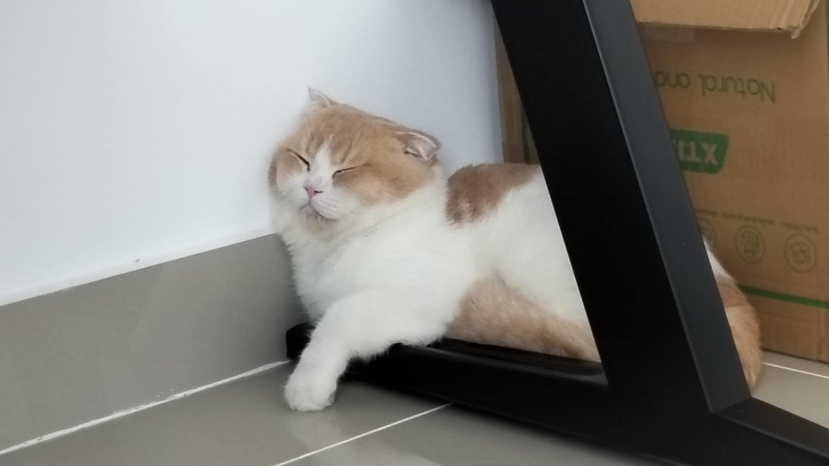 88Welcome's tweet image. 🥱