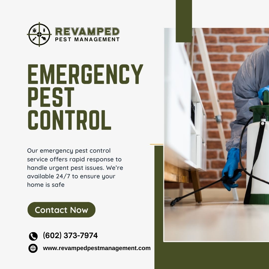 Revampedpest's tweet image. Experiencing a pest emergency? Call us today at 060-2373-7974 or visit - revampedpestmanagement.com/emergency-pest…!
#emergencypestcontrol #emergencypestcontrolservices #RodentControlService #GeneralPestControl #pestcontrolcompany #AtticInsulation #atticinsulationservices #atticpestcontrol