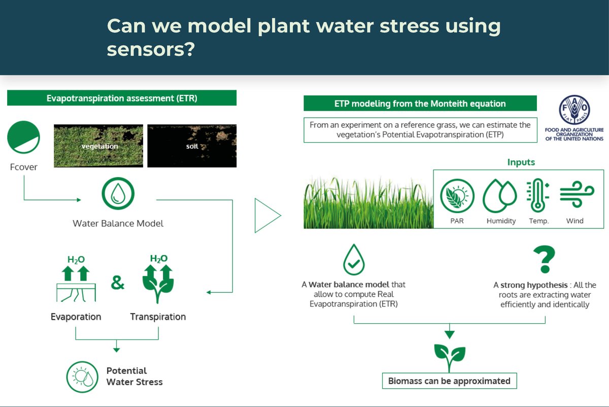 🌱 [#𝐃𝐢𝐠𝐢𝐭𝐚𝐥𝐏𝐡𝐞𝐧𝐨𝐭𝐲𝐩𝐢𝐧𝐠𝐔𝐬𝐞𝐂𝐚𝐬𝐞] 🌱
𝐌𝐎𝐃𝐄𝐋𝐈𝐍𝐆 𝐏𝐋𝐀𝐍𝐓 𝐖𝐀𝐓𝐄𝐑 𝐒𝐓𝐑𝐄𝐒𝐒

Grab a time to discuss with us: calendly.com/d/gtn-s8d-6fh
#plant #phenomics #plantbreeding #agtech