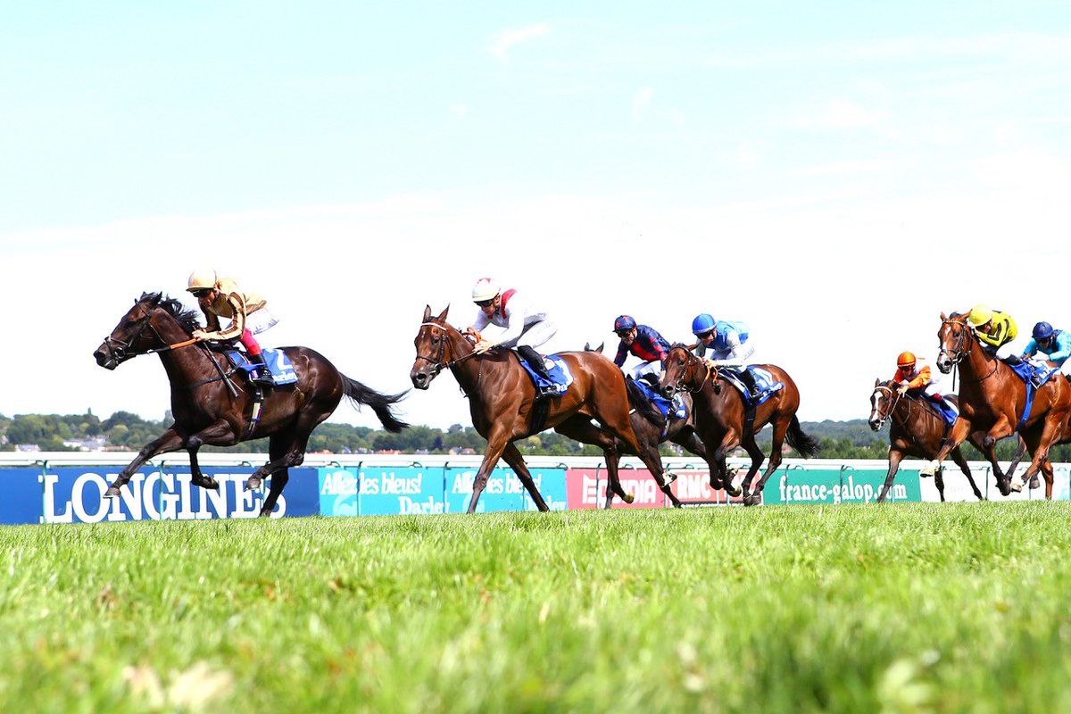 newsellspark's tweet photo. First yearlings by 🏆🏆🏆 triple G2 winning 2yo & 🏆🏆 G2 & G3 5f winning 3yo 🟡⚫️🚀 A’ALI have lift off! @GoffsUK @Tattersalls1766
The best son of Champion First Season Sire SOCIETY ROCK.
He could be the next HAVANA GREY!
#AALI #FirstYearling #GoffsPremier #TattsSomerville https://t.co/DNPIuSczHZ