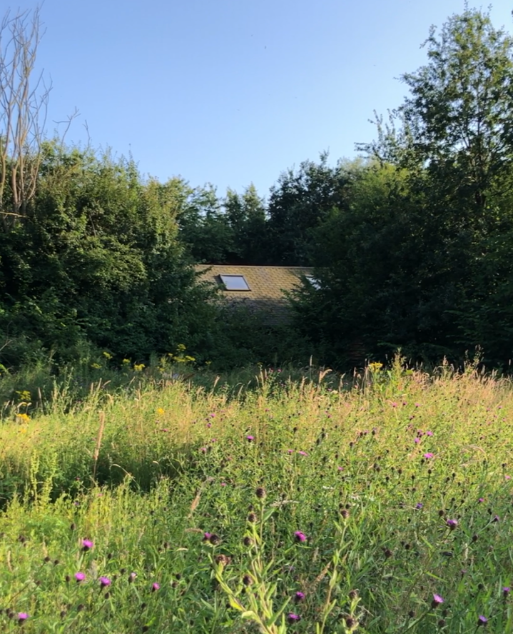 42ndStreetmcr's tweet image. Some beautiful nature shots captured in Trafford during a recent session of our Nature Connection Group⁠
⁠
#NatureConnection #Nature #NatureGroup #NatureRest #CreativeRest #5WaysToWellbeing #7TypesOfRest⁠