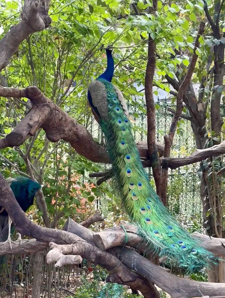 Life is bright and everything is lovely. May your childlike innocence remain intact and everything you encounter be sweet.