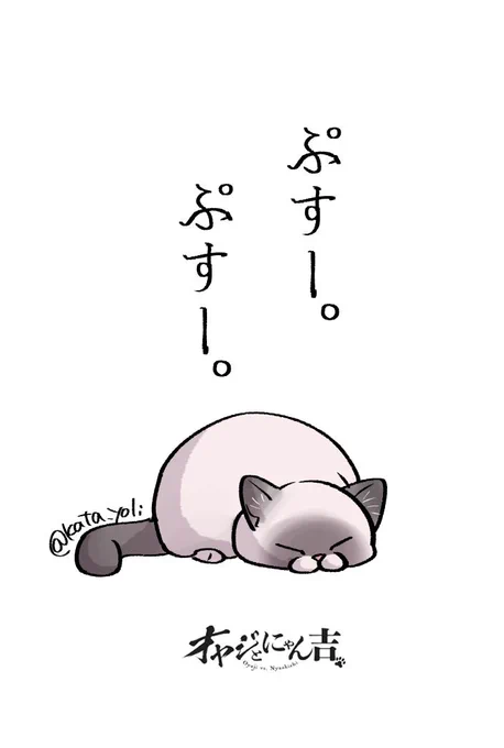 今週の「#オヤジとにゃん吉」はお休みを頂いてます👨‍🦳🐾🐱 暑い日が続きますので、どうぞご自愛ください🥤🥤🥤