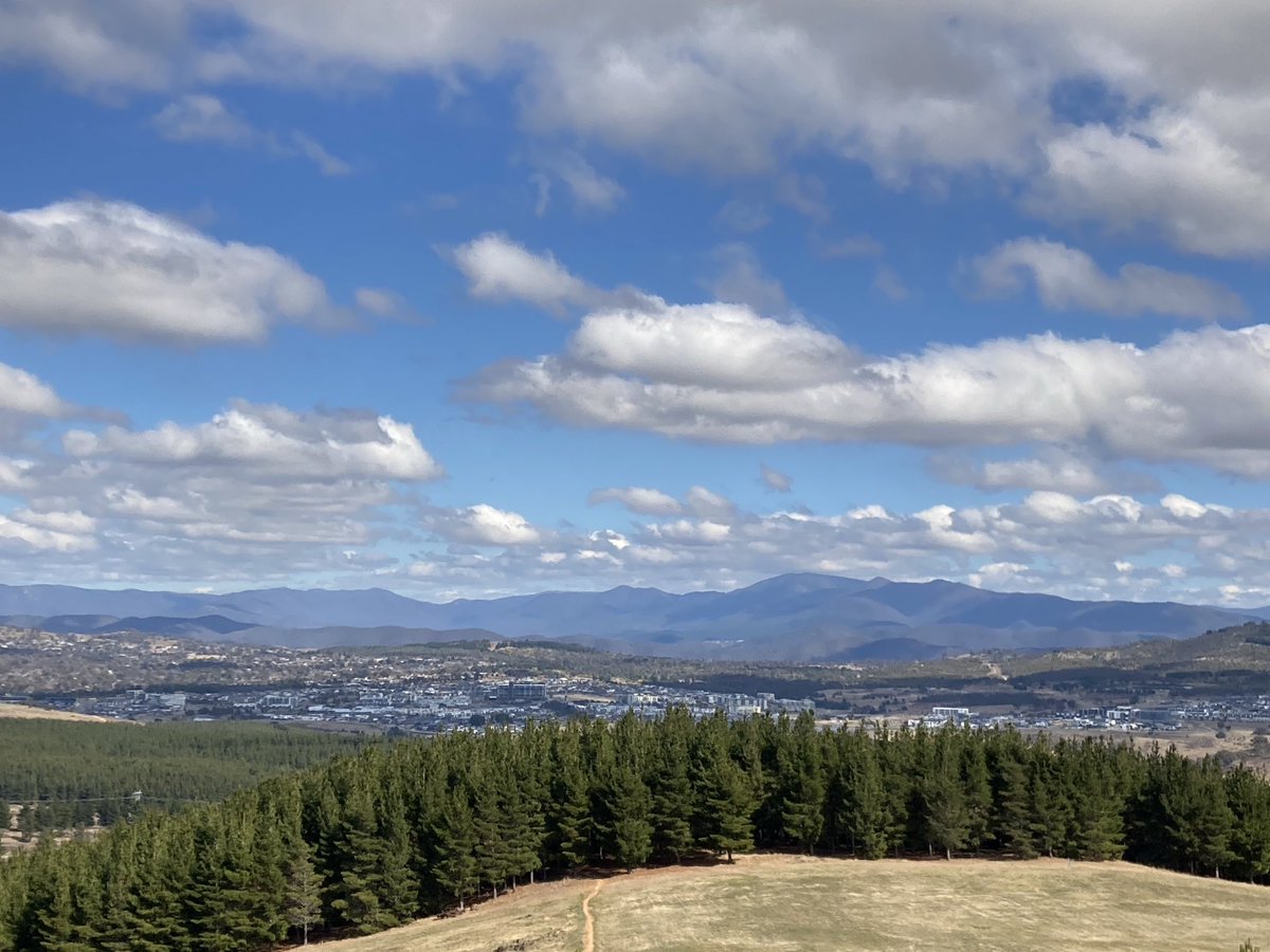 Ben Phillips tweet media