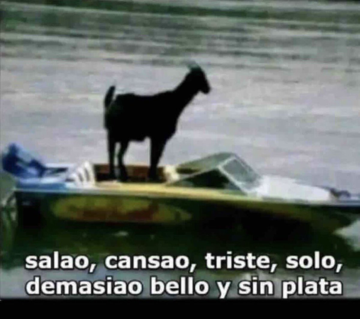 cxrrly's tweet photo. Si me preguntan como estoy https://t.co/L2UUYAP3s7
