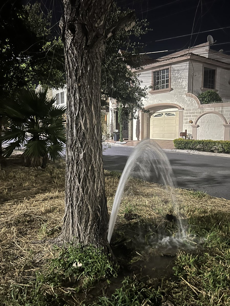 arnold_valadez's tweet photo. #reporteduga @ayd_monterrey @LoQuePasaEnNL @Mty_Leones @CumbresMty @mtygob fuga de agua en cerradas de cumbres en el parque Madeiras https://t.co/TMqhqx0fTM