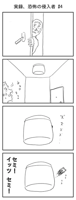 家にセミが入ってきちゃった話 #4
#毎日更新  #再掲 #実話
#家にセミが入ってきちゃった話 