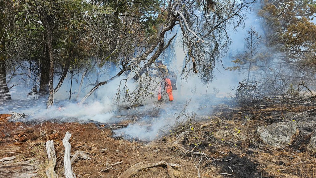 Brett2cool4u's tweet photo. if you’re funny enough in school they let you cut burning trees for a living https://t.co/XBjAj4MeBo