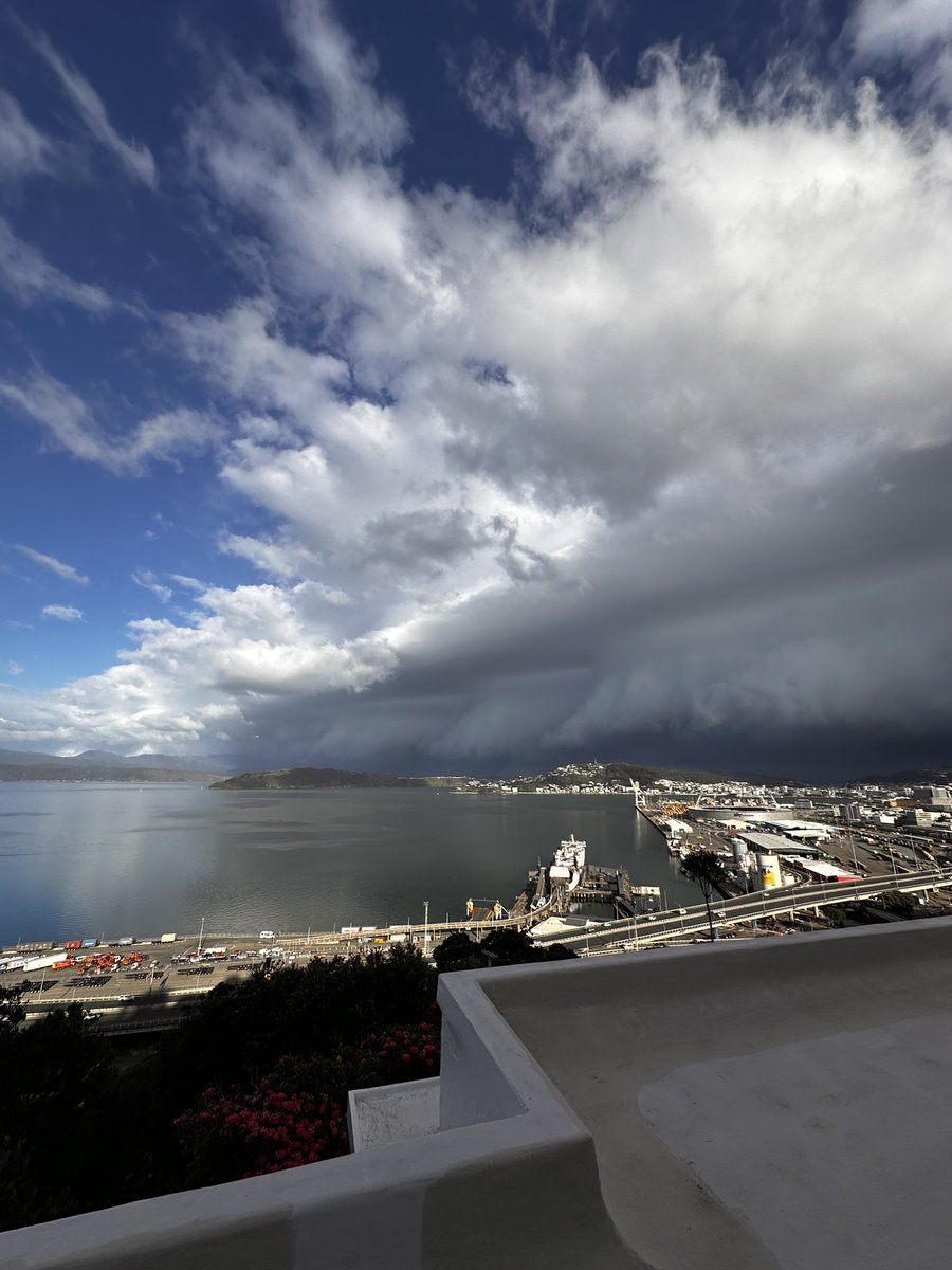 Hamish Stevenson tweet media