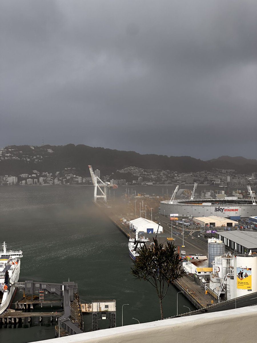 Hamish Stevenson tweet media