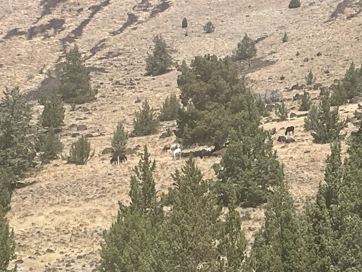 Lake Billy Chinook