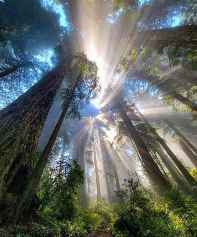 Nature Visuals (@visualsnat22667) on Twitter photo 