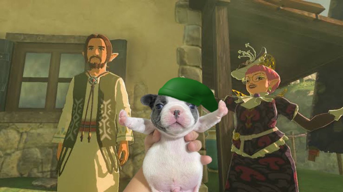 SlLENTPRINCESS's tweet photo. that one totk side quest https://t.co/bo7WQrnbam