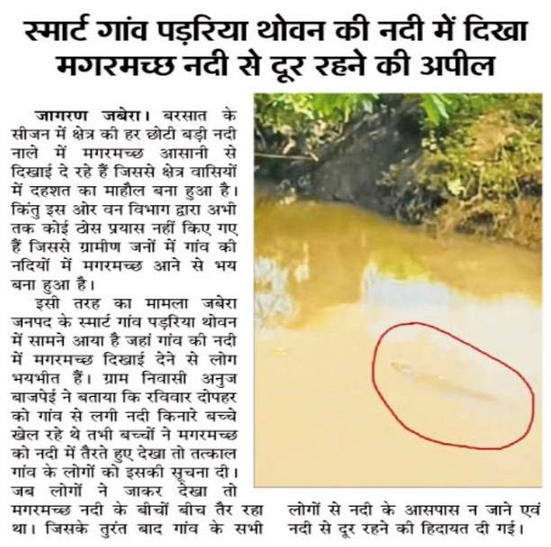 GaonSmart's tweet photo. बारिश के कारण हमारे गांव की नदी तक पहुंचा मगरमच्छ 🐊
@narendramodi @prahladspatel @CMMadhyaPradesh @DharmendrLodhii @CollectorDamoh @PROJSDamoh @rajnishbajpai3 @satyendra81 @narendradamoh @anujbajpaidamoh https://t.co/A9wal3XJUp