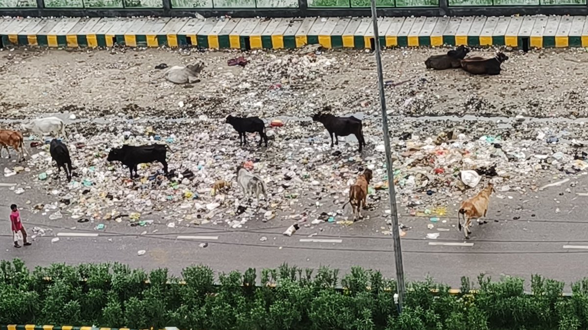 Sanjay kumar Saxena tweet media