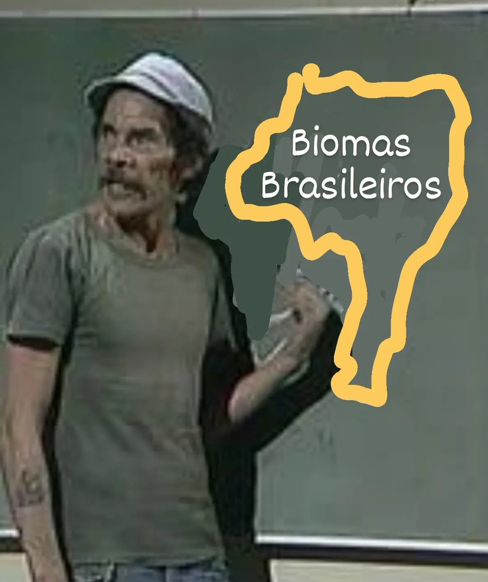 Biomas 🇧🇷 no Enem (a thread).

Pega as manha do Enem e ajuda o perfil crescer, manda aquele rt maroto que hoje (12/08) às 15h tem live no canal sobre biomas 
youtube.com/live/2a4W5n5Fx…

Segue o fio 🧶
