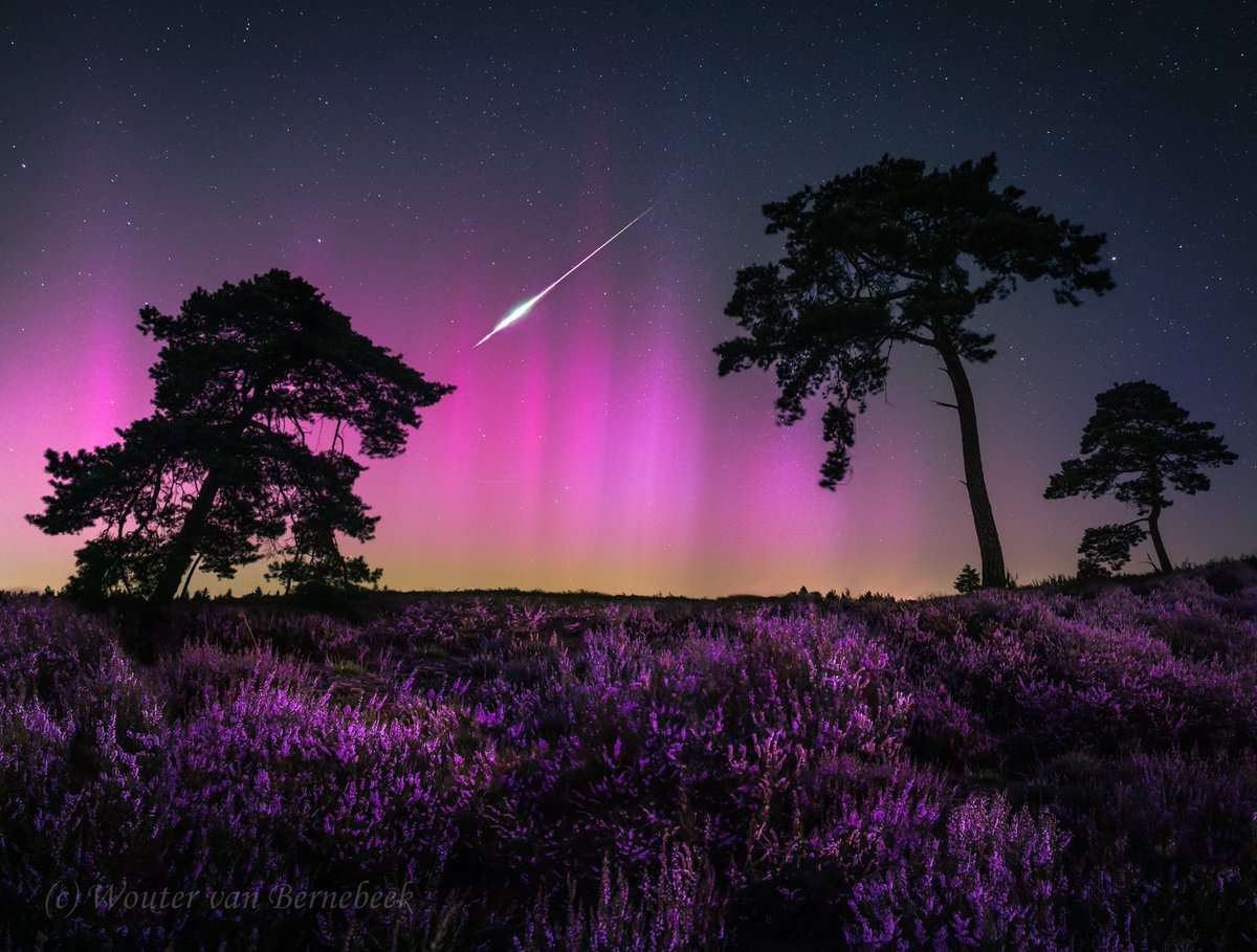 🌌 Zeldzame combinatie: vallende sterren met #noorderlicht boven Nederland! We kijken terug op een magische nacht. De bloeiende heide hier vlakbij huis maakte het helemaal af... #PerseidMeteorShower