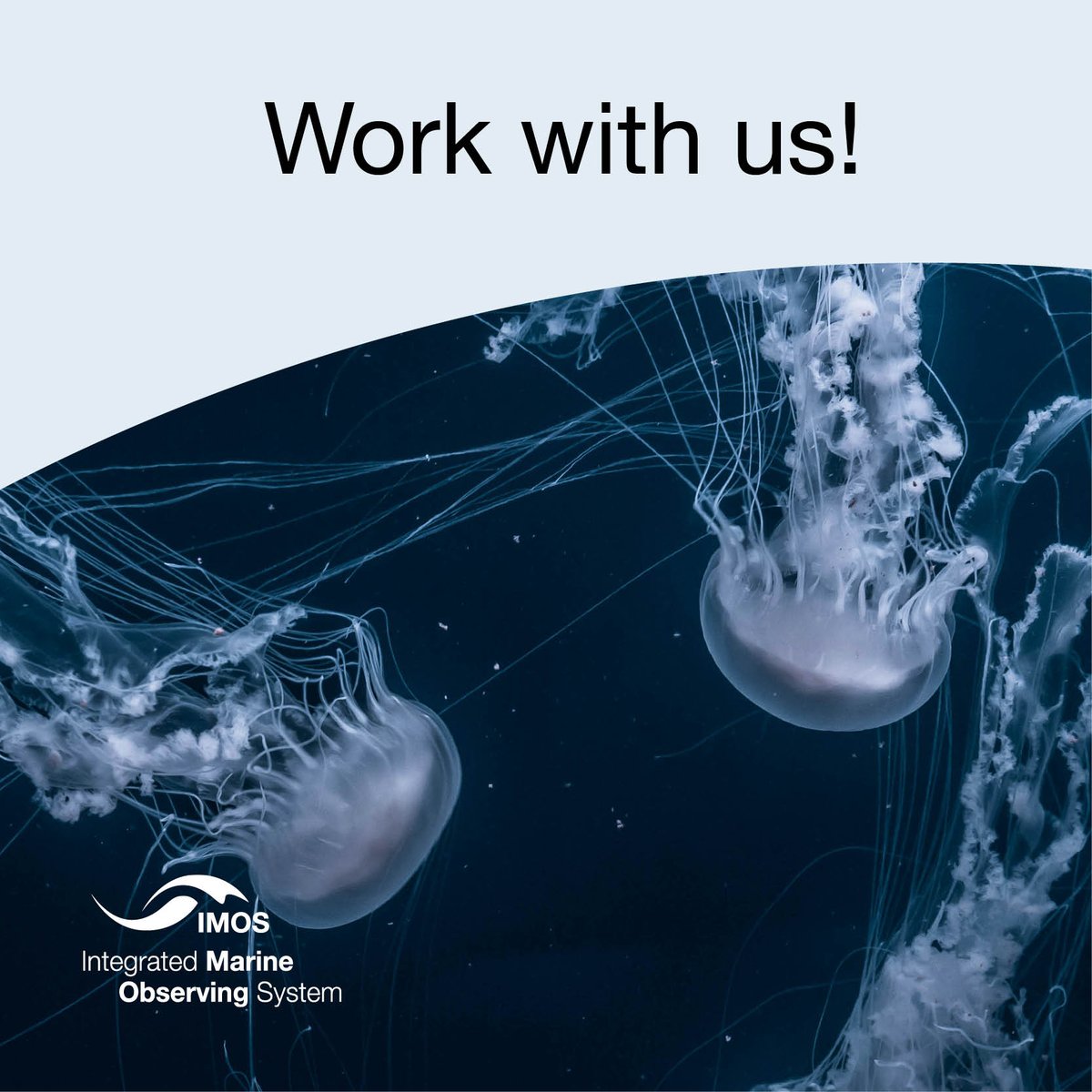 We're looking for a Data Engineer to join the IMOS team 🐠 Play a crucial role in delivering data from national environmental data collection programs to stakeholders for research, decision-making, and other impactful uses. Apply now 🔗 bit.ly/4fDK5T9