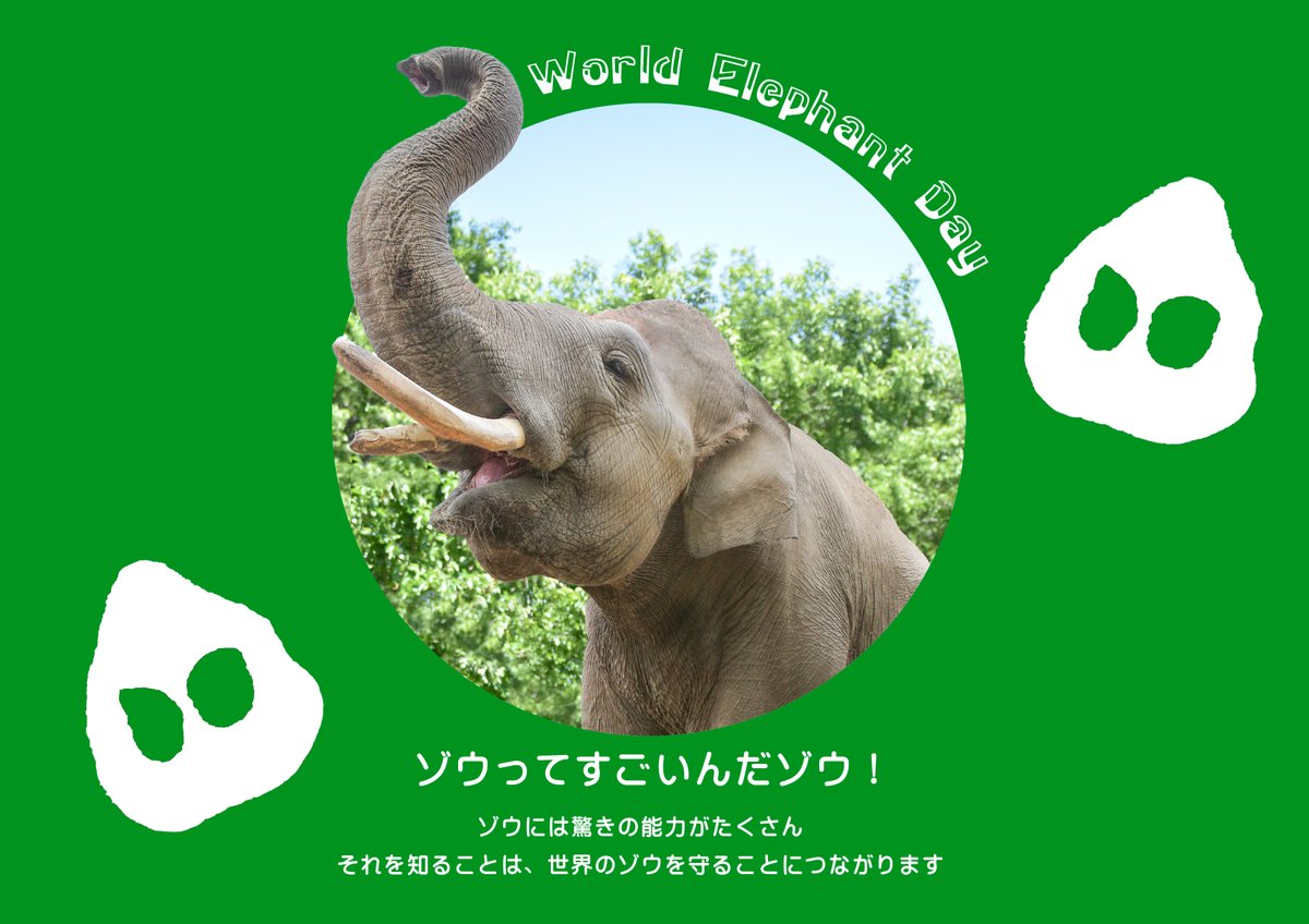本日8月12日は ＃世界ゾウの日 🐘 ゾウの保全を皆で考えよう！という日