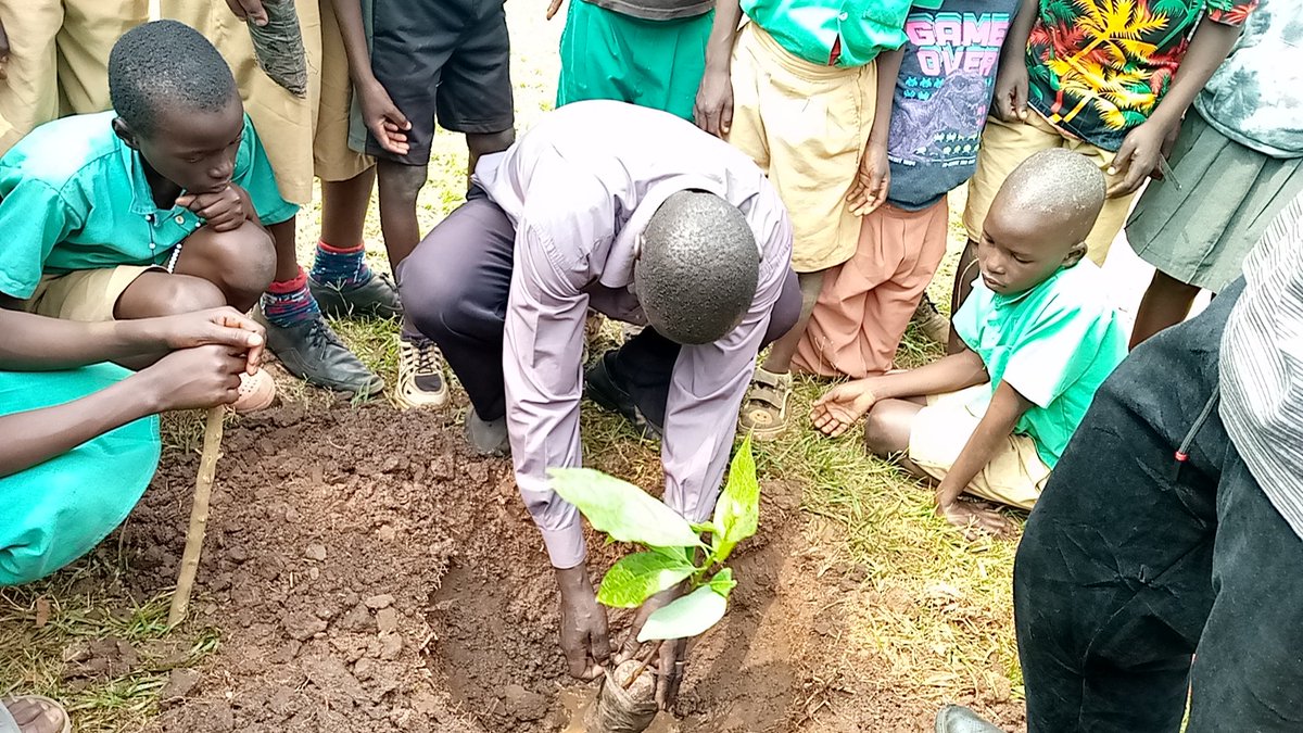 U_E_C_O's tweet image. UECO Update 3 - August 4th, 2024
We are pleased to inform our followers that on August 4th, we continued our Environmental Awareness and Tree Planting project at Ssunga C/U Primary School. Thanks to the headteacher for the invitation, we sensitized pupils about their environment,