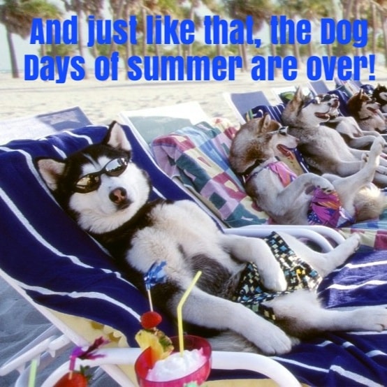 VCCDT's tweet photo. And just like that, the Dog Days of Summer are over! Who's ready for some cooler temperatures? Don't  worry, there are still 41 days of Summer left. But, it's in the home stretch! Practices are starting soon!

#TheDogDaysAreOver https://t.co/d0xv6GFdgV