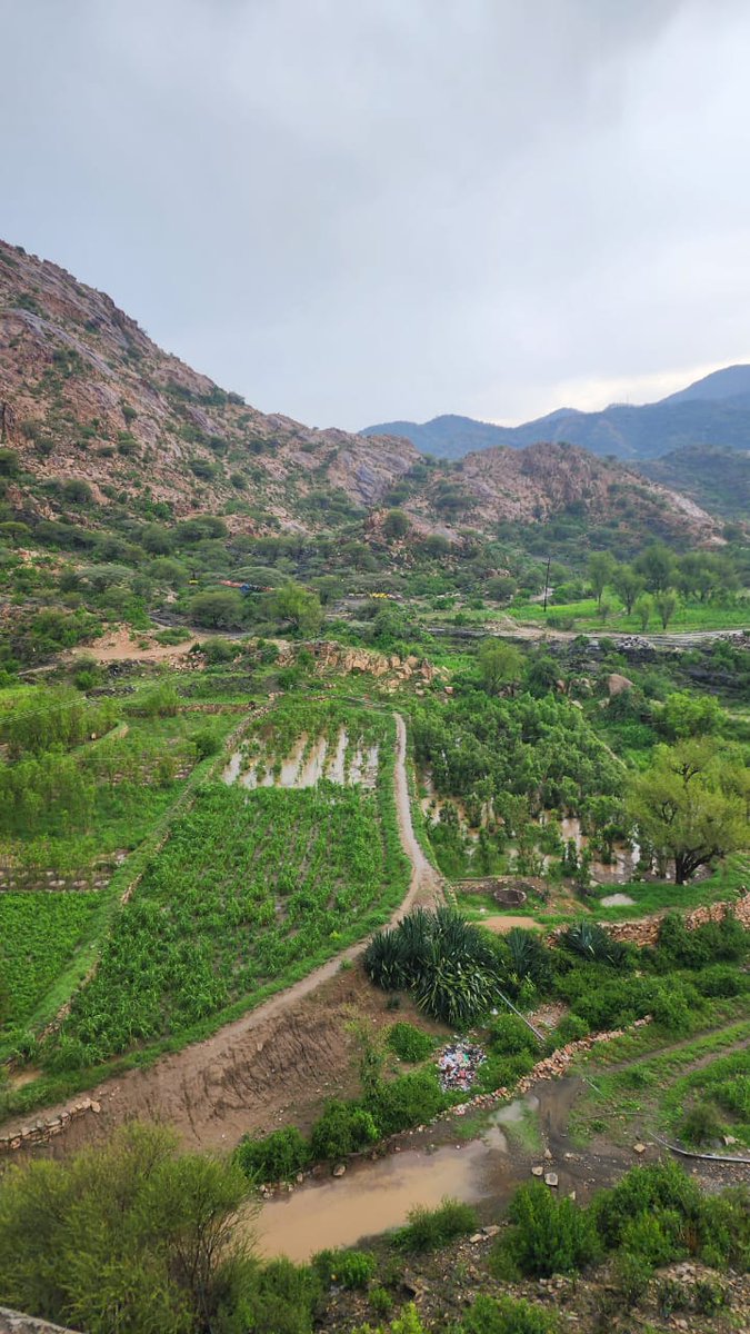 صباح الخير من #يافع