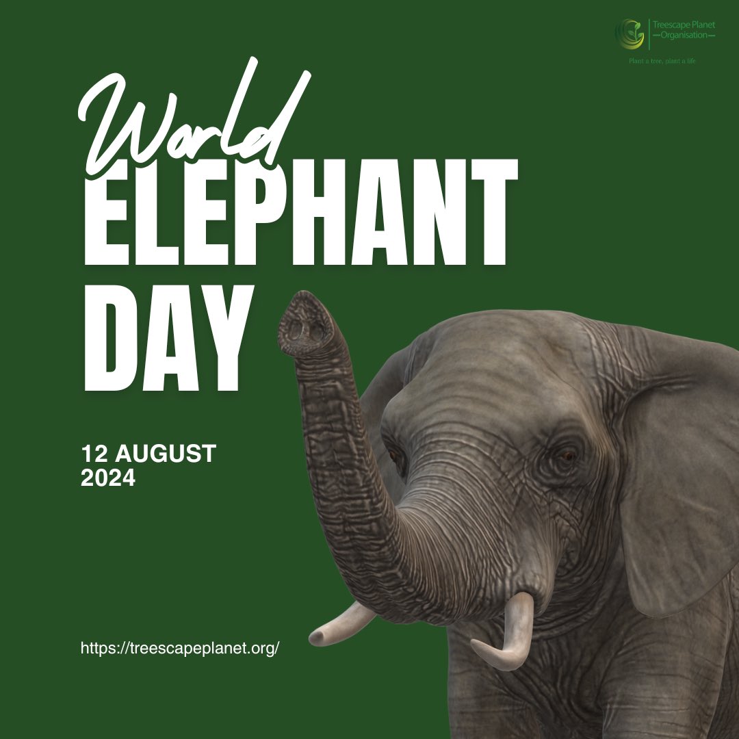 Treescape Planet Organization tweet media