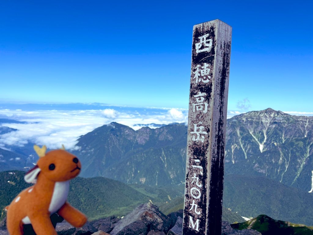 NARA_CK105's tweet photo. 運用記録⛰️

日時2024/8/9-11
場所 #西穂高岳 #高山 #松本

普段、奈良にいるので山の日しかできないことをしに、高山にやってきました！

31局と #無線 ⚡️

#岐阜 #長野 #富山 #石川 #愛知 #三重 #群馬 #山梨 局

#蓼科 #白山 #石動山 #医王山 #金剛山 等の山岳移動局ともしっかり🦌交信できました！ https://t.co/Esl1Nxd29e