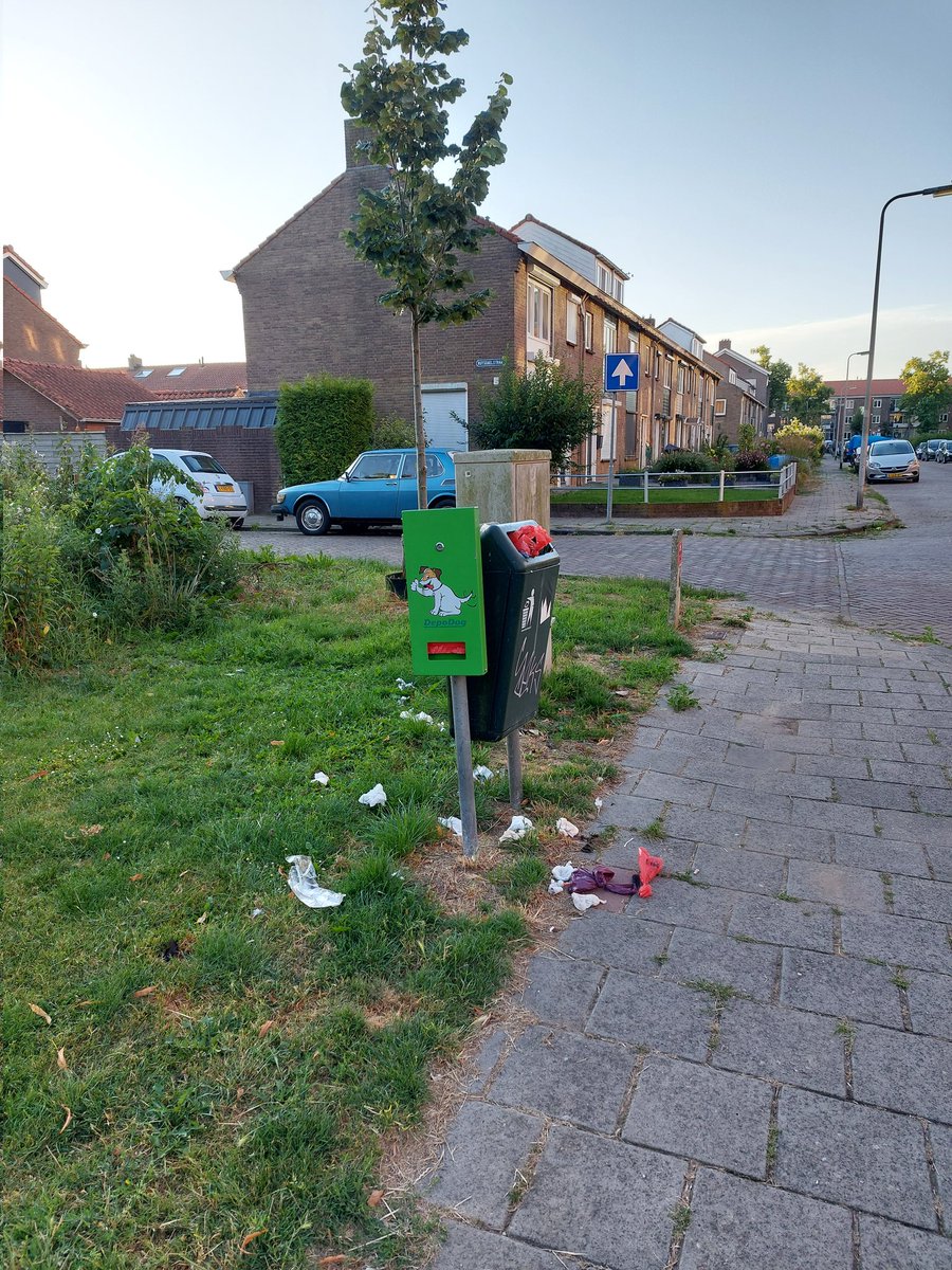 Annerieke Vogel-Some tweet media