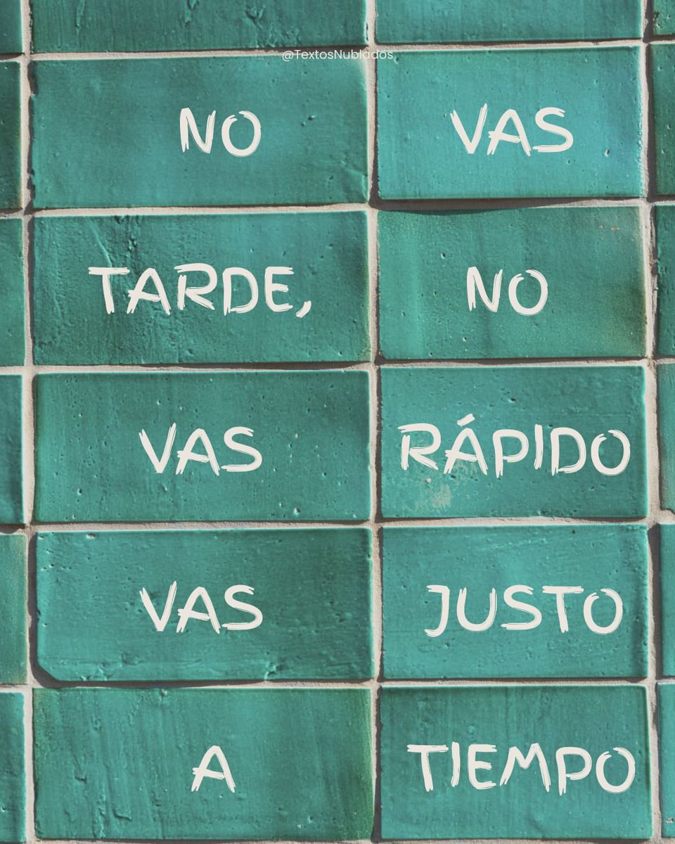 Rayo ⚡️ tweet media
