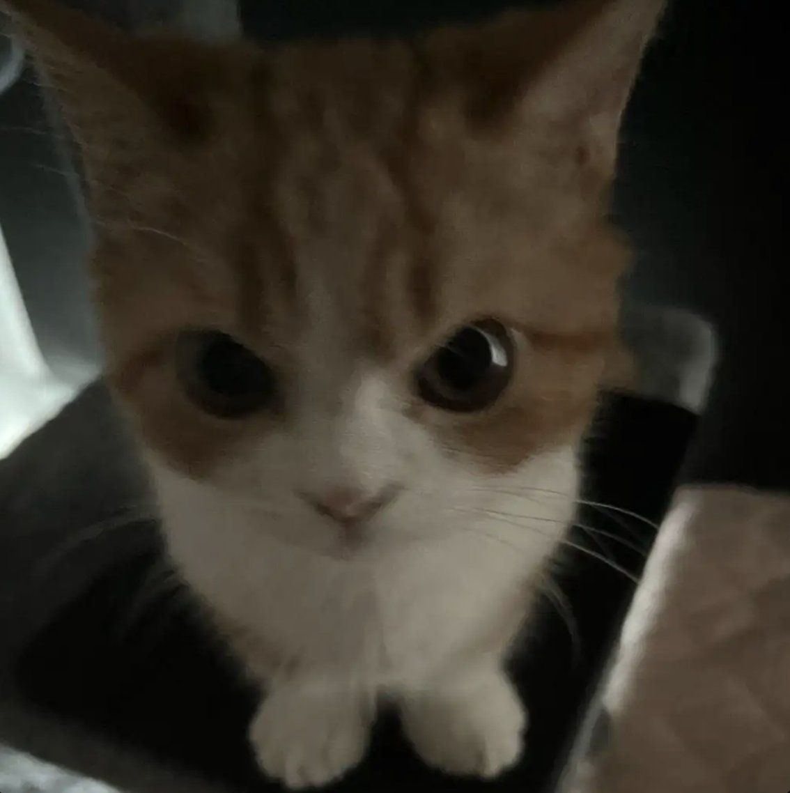 DR.CYBER 🎙️ tweet media