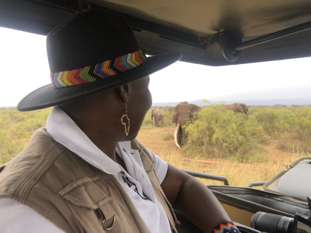 Happy World Elephant Day! ⁦<a href="/mpala_rc/">Mpala Research Centre / @mpalarc.bsky.social</a>⁩ ⁦<a href="/ElephantTrust/">Amboseli Trust for Elephants</a>⁩ ⁦<a href="/ChdKenya/">CHD Conservation Kenya.</a>⁩ ⁦<a href="/EPIAfrica/">Elephant Protection Initiative</a>⁩ ⁦<a href="/wildlifedirect/">WildlifeDirect</a>⁩