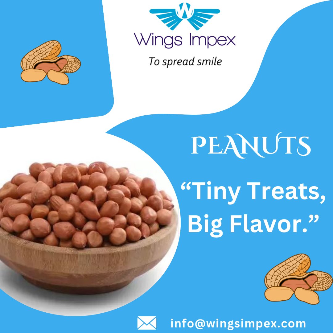 wingsimpex's tweet photo. Peanuts are delicious, nutrient-rich legumes packed with protein and healthy fats. 
🌐: https://t.co/rw1k808oX6
📲: 92658 74582
📧: info@wingsimpex.com

#WingsImpex #Rajkot #ExplorePage #TopicalSpot #SupplyChain #Shipping #IndianExporters #ExportFromIndia #WorldwideShipping https://t.co/dZiuVUpgrH
