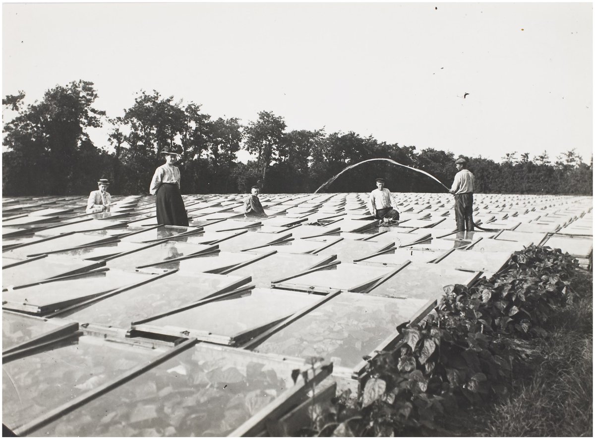 geotdf's tweet image. It’s our first Tour de France Femmes avec @GoZwift blog so it’s time for a good warming up. 

Not the one you had in mind on your trainer racing through the deserts Watopia (although temperatures n Rotterdam will soar today) but the use of geology to heat the greenhouses along…