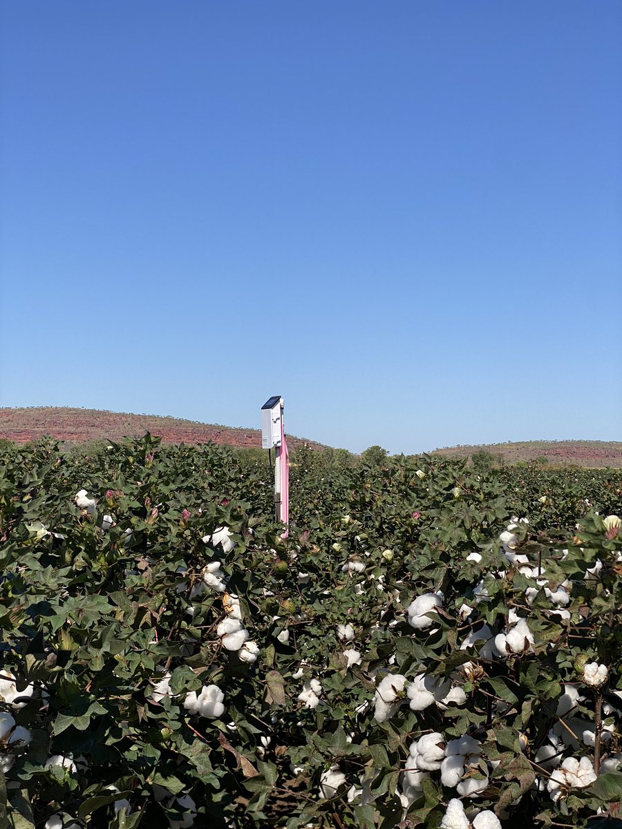 Sarah Nolan-Gorman tweet media