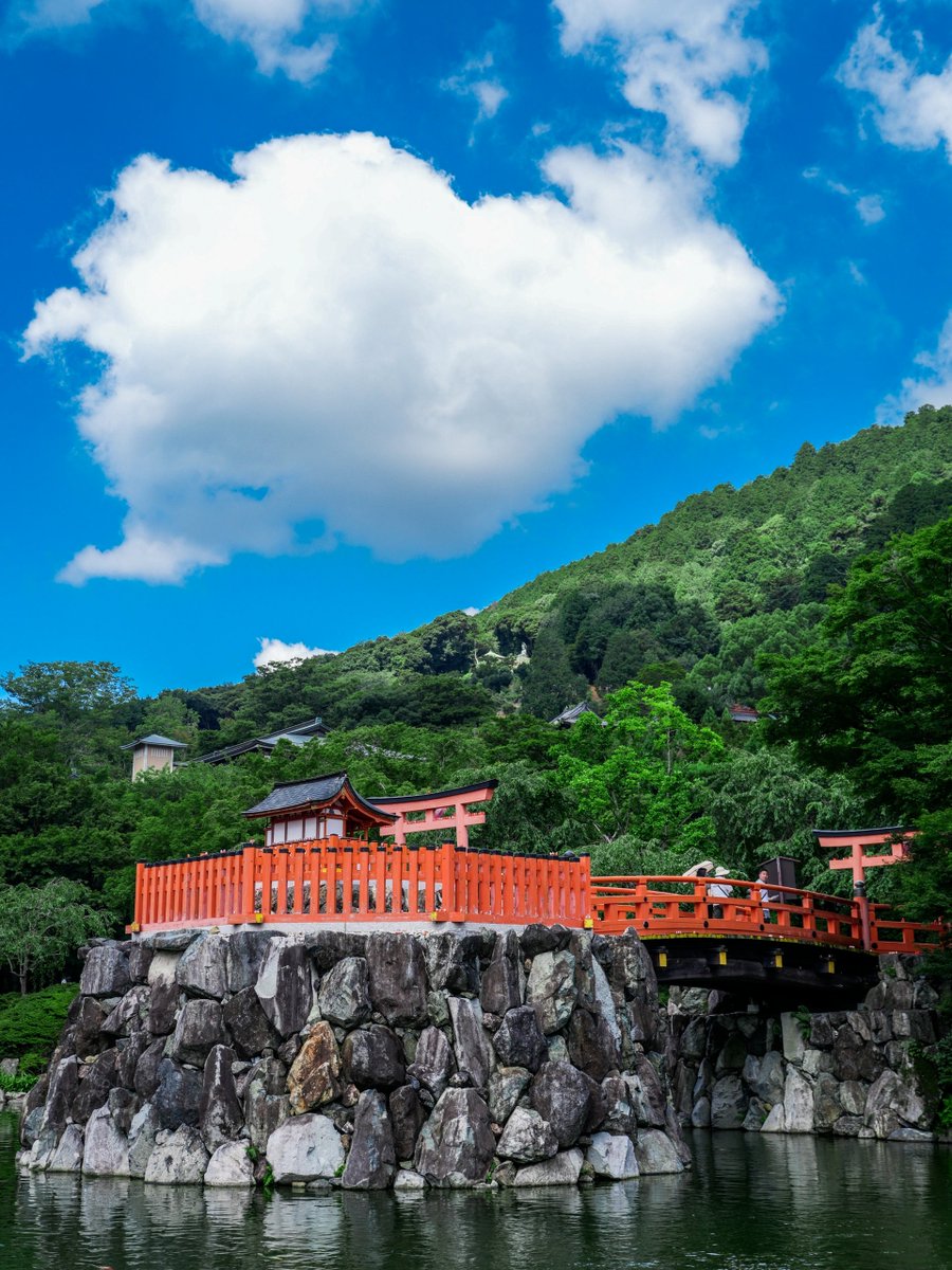 MarkP3R3Z's tweet photo. 勝尾寺は今でも1300年以上の歴史があり、
願い事をする時はダルマの左目に黒い目玉を描き、
願いがかなったら右目を補い、
そして勝尾寺に残って、勝手にあちこちに置いて、本当に面白かったです。
#日本  
#大阪 
#神社 
#だるま 
#勝尾寺 
#お寺巡り 
#寺庙 
#Temple
#ShengweiTemple
#Osaka
#Japan https://t.co/dBU5lALVP0