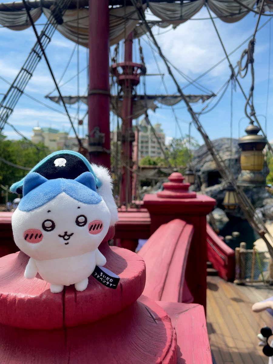 chi1kano's tweet photo. かわいい船長撮れた📸🏴‍☠️ https://t.co/pO2EJ7vZ04