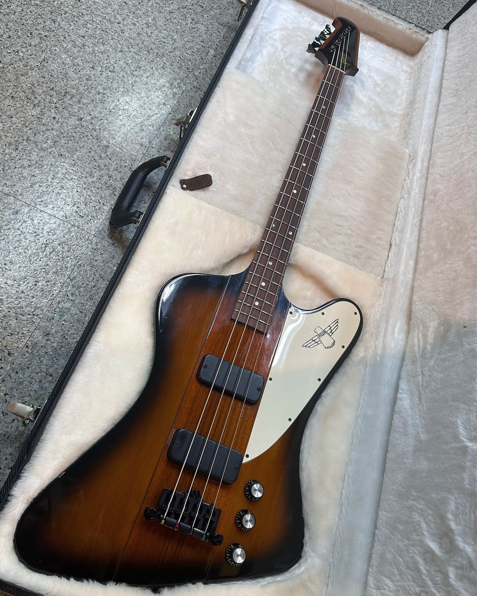 Gibson Thunderbird Bass とうとう買った〜‼︎ でもこれからレフティー