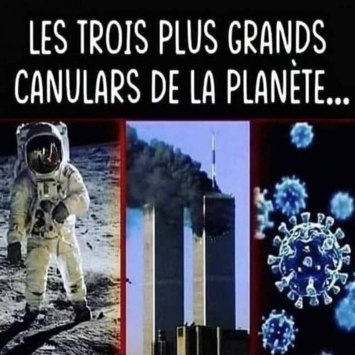 Anne cardynale ou @Bellinarg4 tweet media