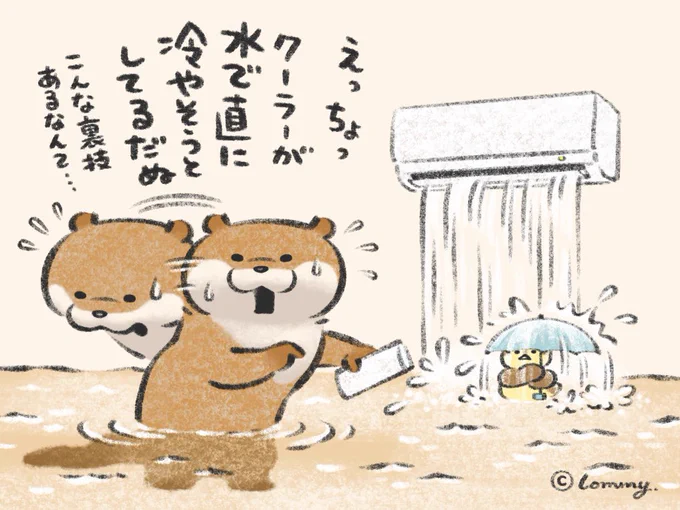 裏技なの💦
#カワウソ 
