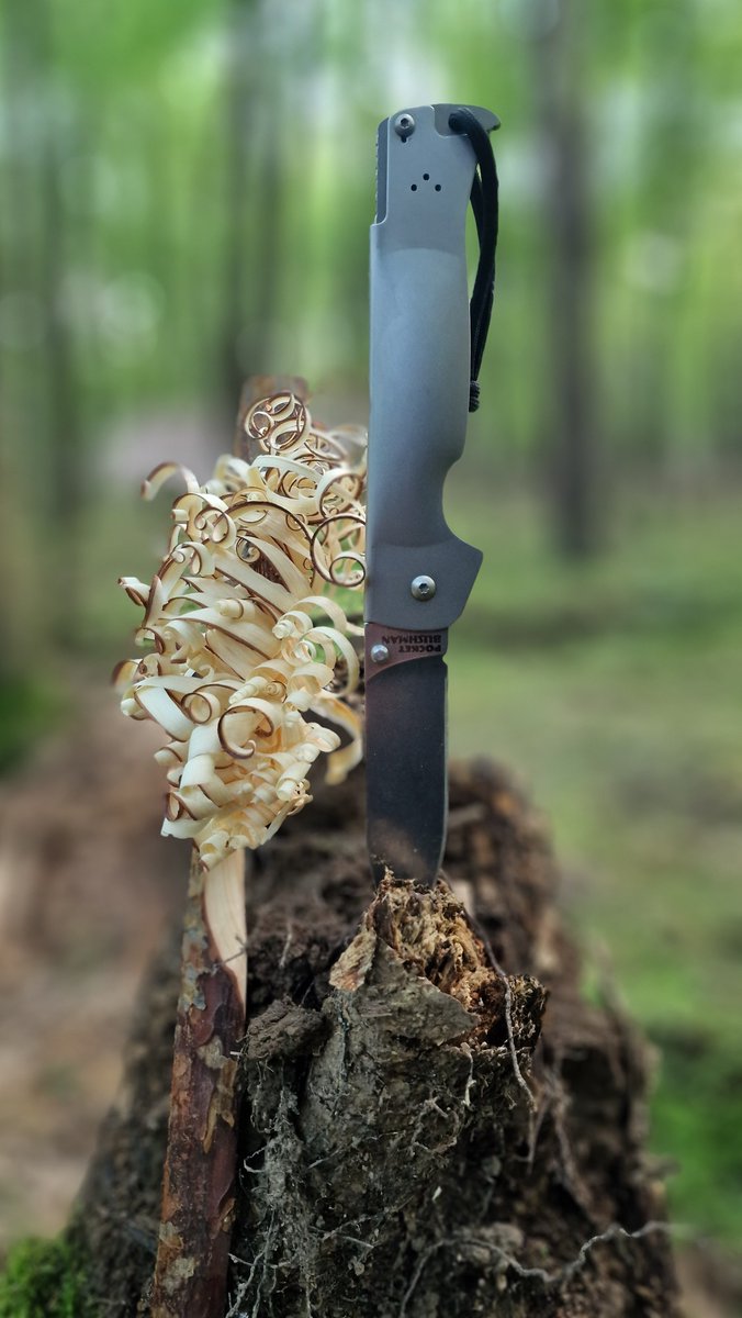 nnknives's tweet photo. Cold Steel Pocket Bushman. The adventurer in your pocket! 🔪🗺️
#mkk #bushcraft #knives #knife #coldsteel #outdooradventure #outdooradventures #getoutside #survival https://t.co/5yVArX0saz