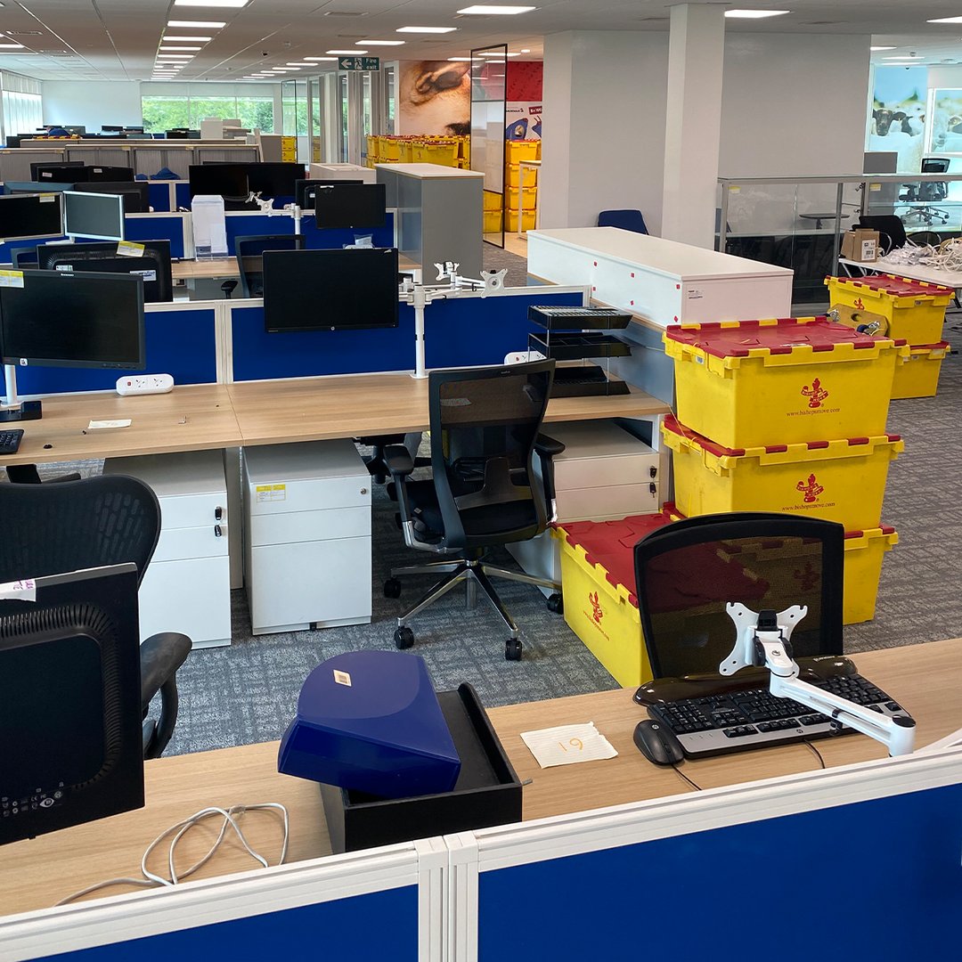 Bishop's Move tweet media