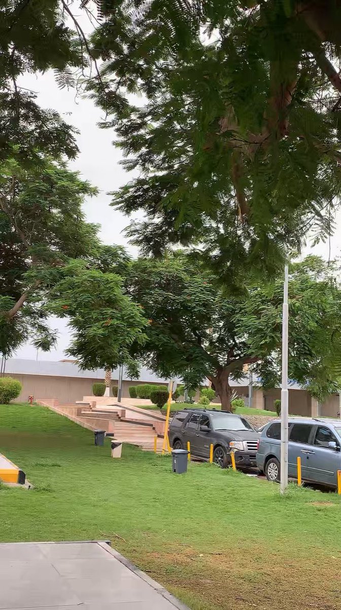 8ttp_'s tweet image. الأجواء تخليك تداوم حتى لو مالك نفس 🤍